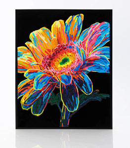 Neon Gerbera