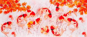 Koi Carp