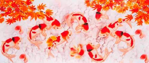 Koi Carp