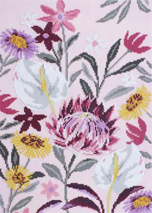 Protea in Pastel